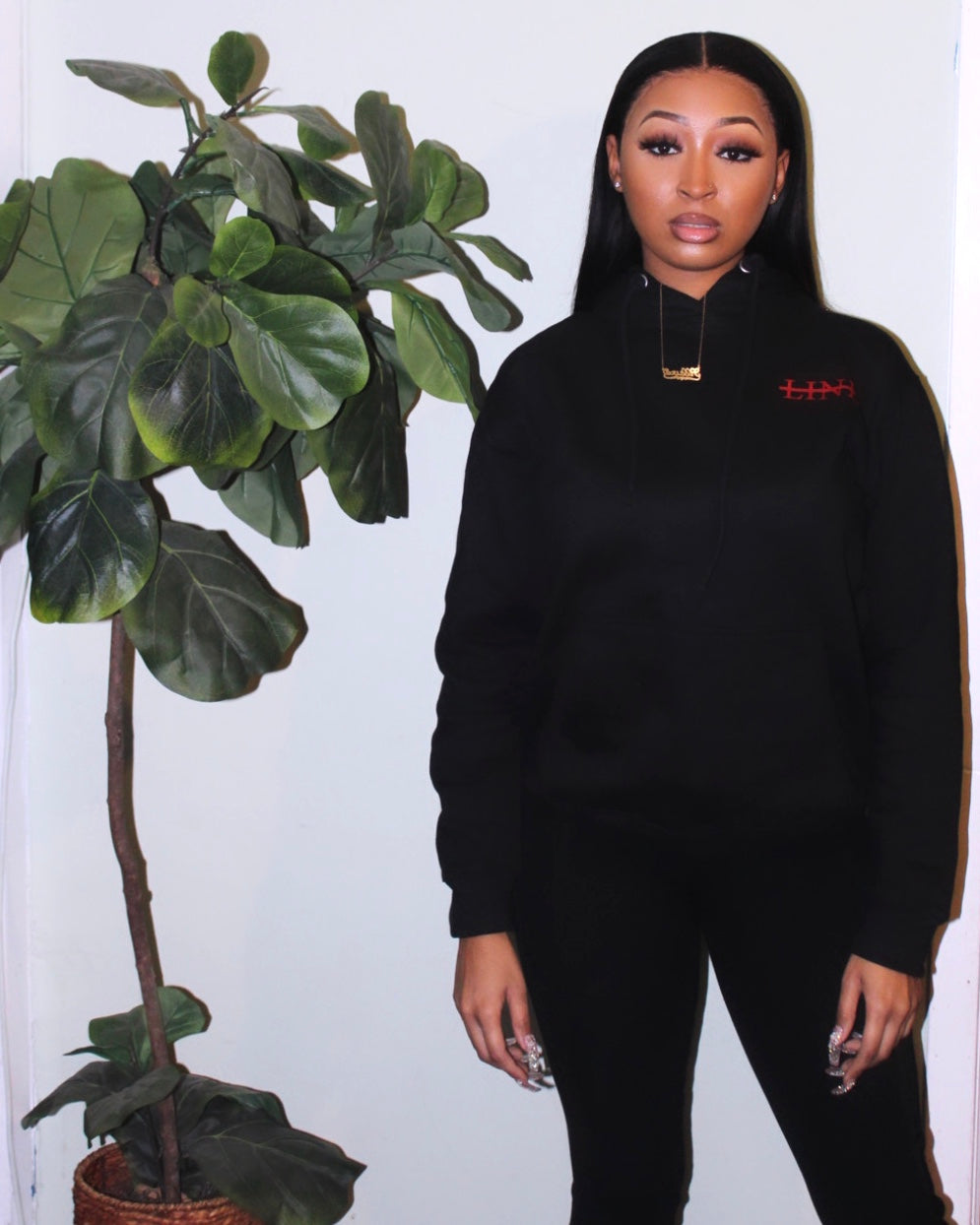 Chest logo pull over hoodie